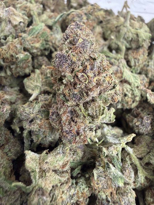 1 Pound - CANDY SHERB THCA Flower