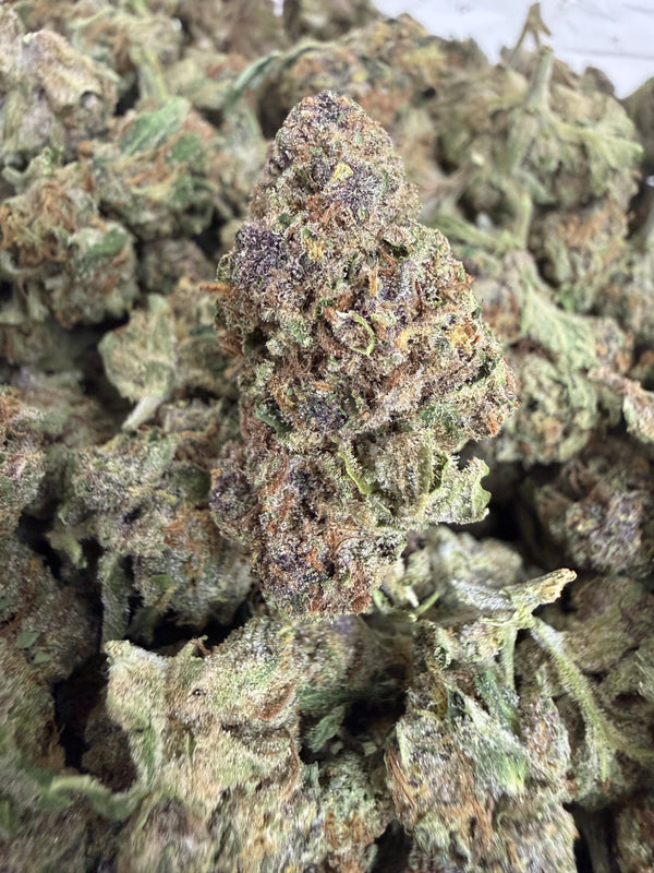 1 Pound - CANDY SHERB THCA Flower