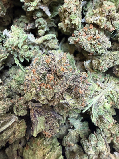 1 Pound - Blue Lobster THCA Flower (Smalls)