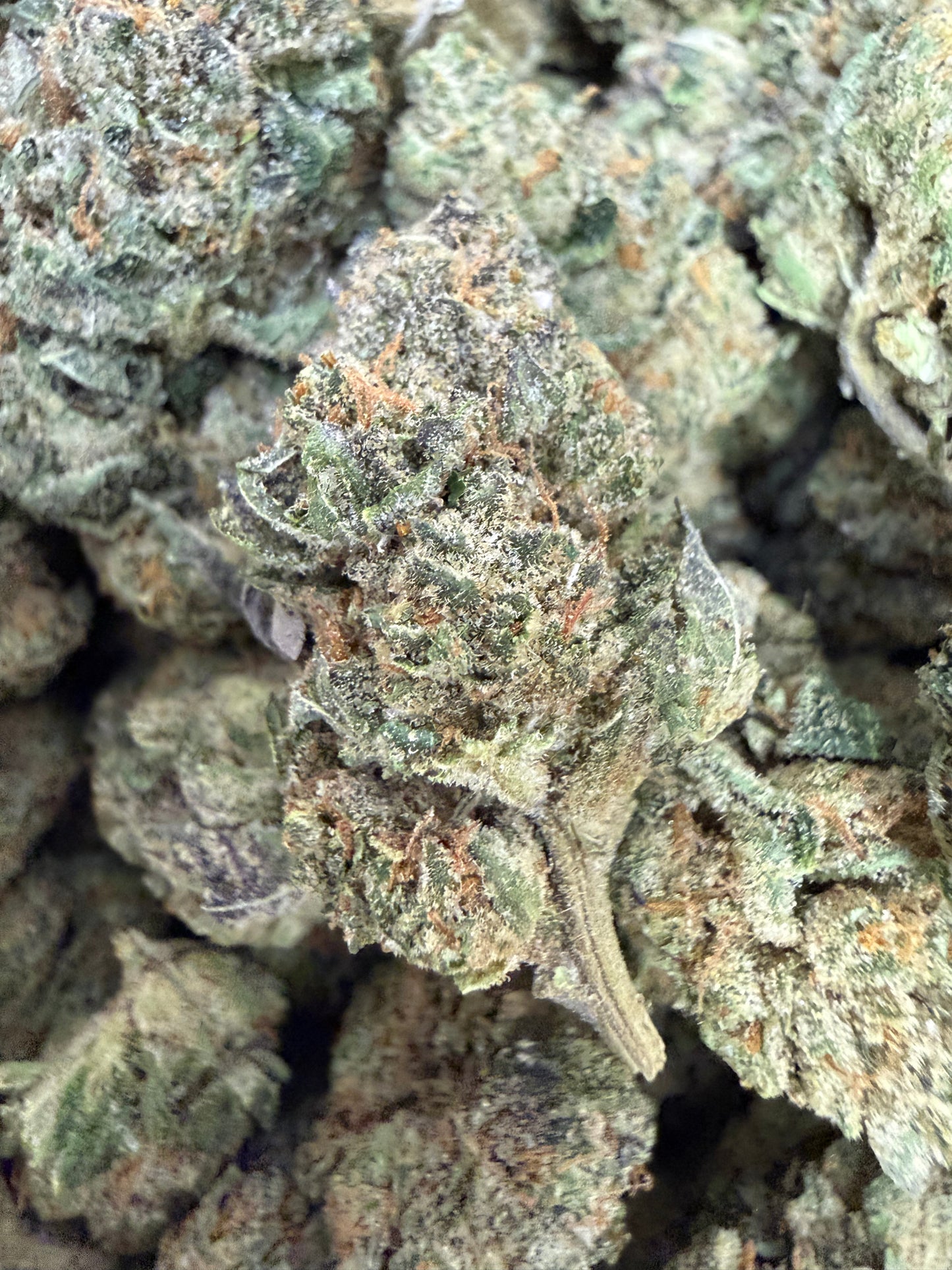 1 Pound - Face Off OG THCA Flower