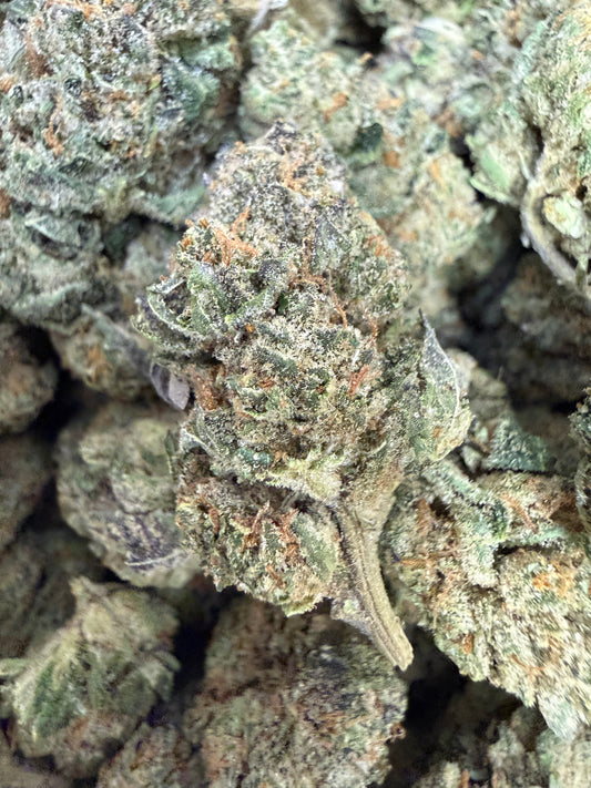 1 Pound - Face Off OG THCA Flower