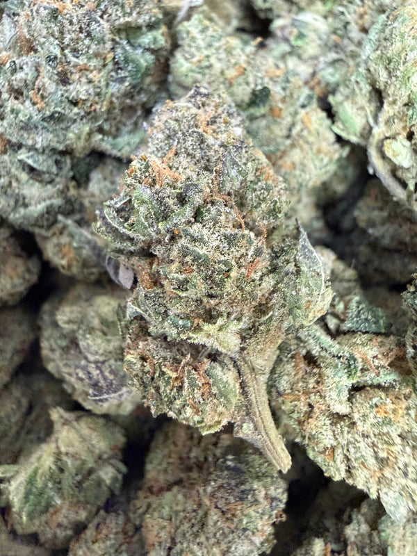 1 Pound - Face Off OG THCA Flower