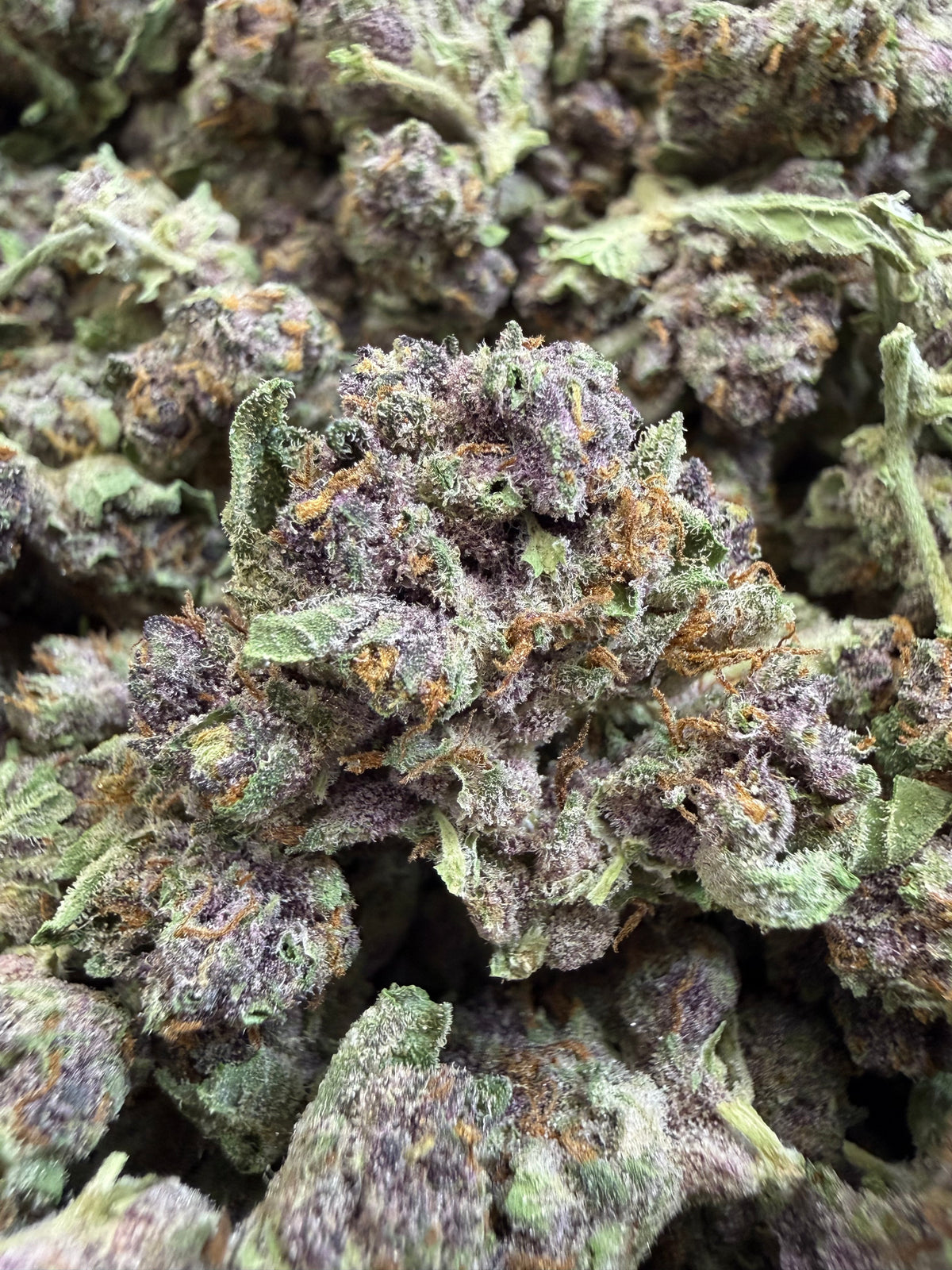 1 Pound - TROP CHERRY THCA Flower (SMALL)