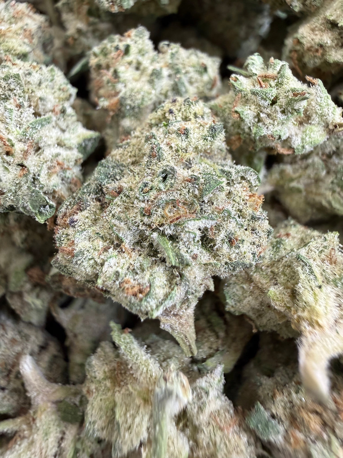 1 Pound - TERPEE SLURPEE THCA Flower (SMALL)