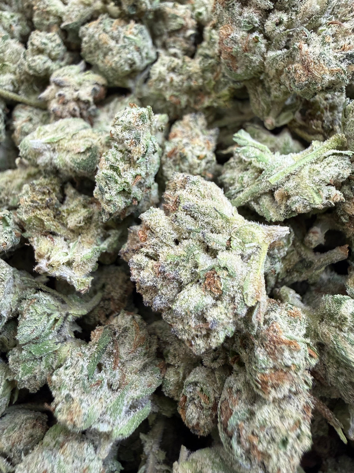 1 Pound - DANTE'S INFERNO THCA Flower (SMALL)