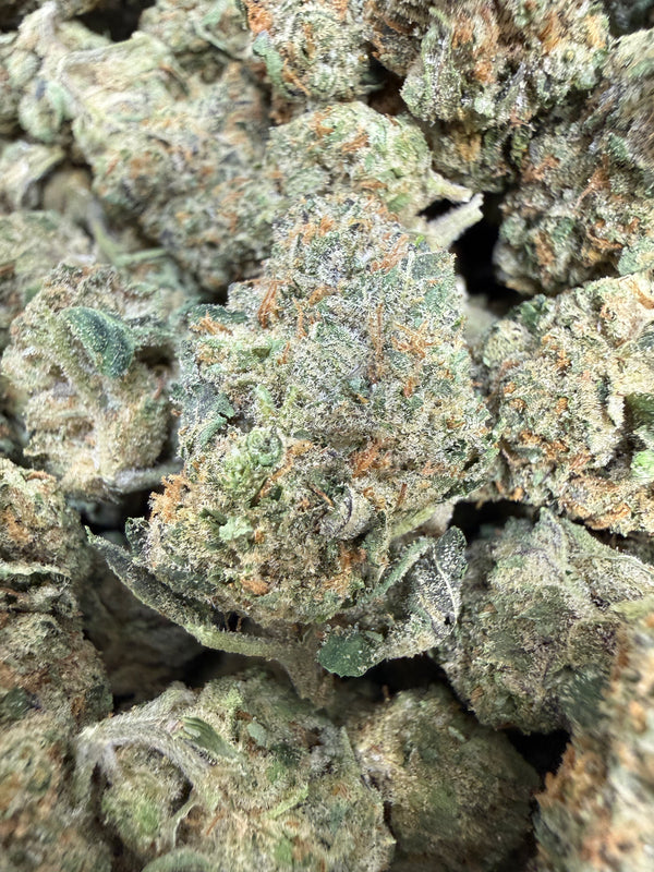 1 Pound - Freeze Popz THCA Flower