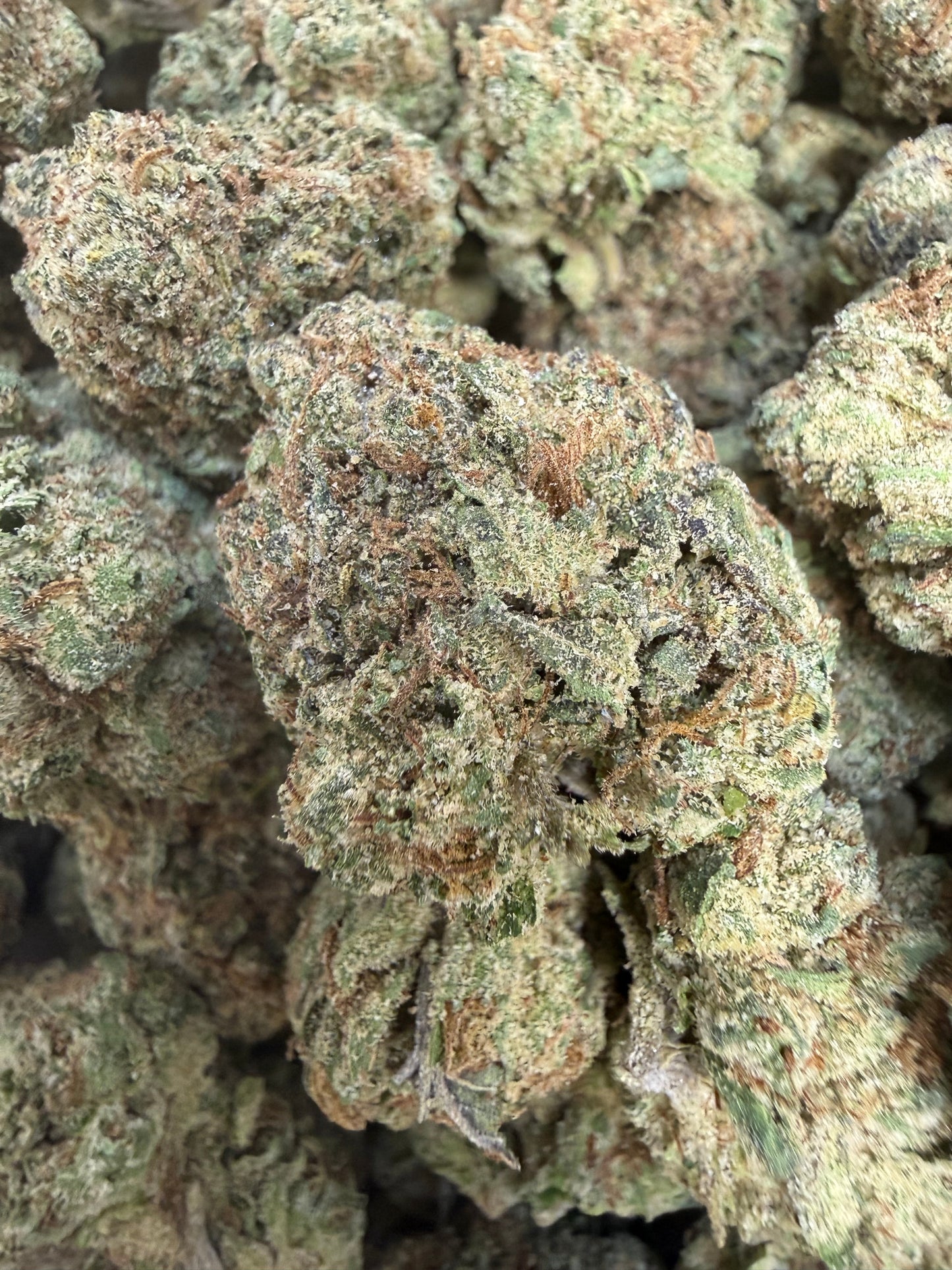 1 Pound - Sharkalato Runtz THCA Flower
