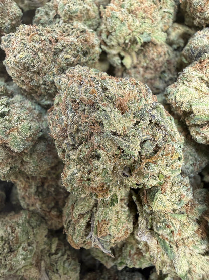 1 Pound - Sharkalato Runtz THCA Flower
