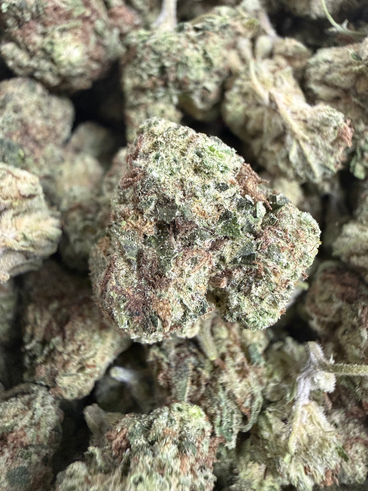 1 Pound - BISCOTTI PANCAKES THCA Flower (SMALL)