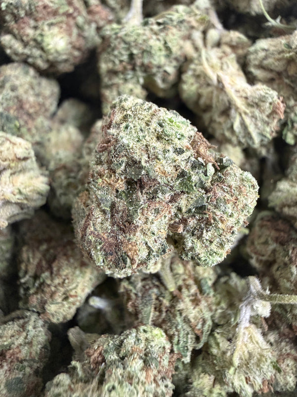 1 Pound - BISCOTTI PANCAKES THCA Flower (SMALL)