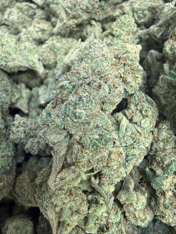 1 Pound - Grandi Candies THCA Flower