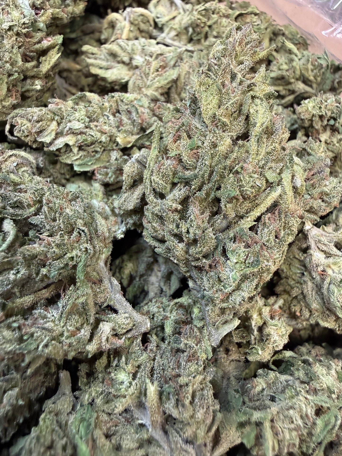 1 Pound - Blueberry X Blue Dream THCA Flower