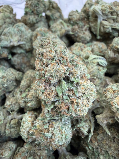 1 Pound - ILLEMONATI OG THCA Flower (BIG)