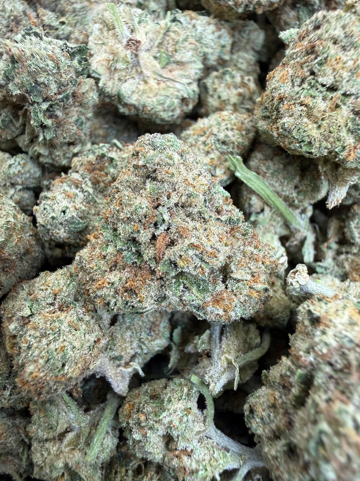 1 Pound - LEMON POPPERZ THCA Flower (SMALL)