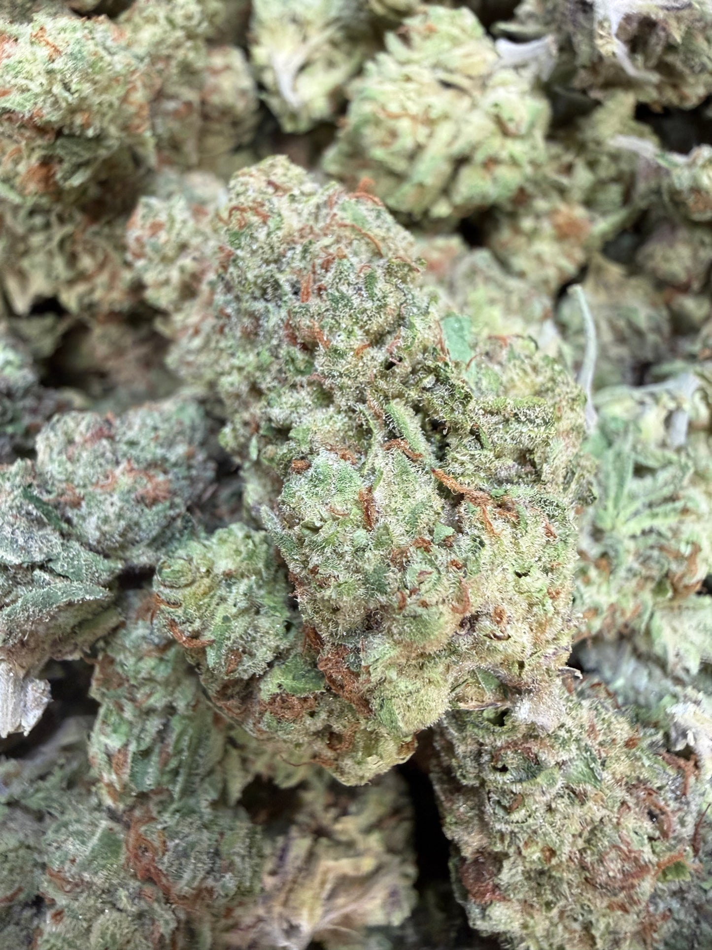 1 Pound - AK-49 THCA Flower