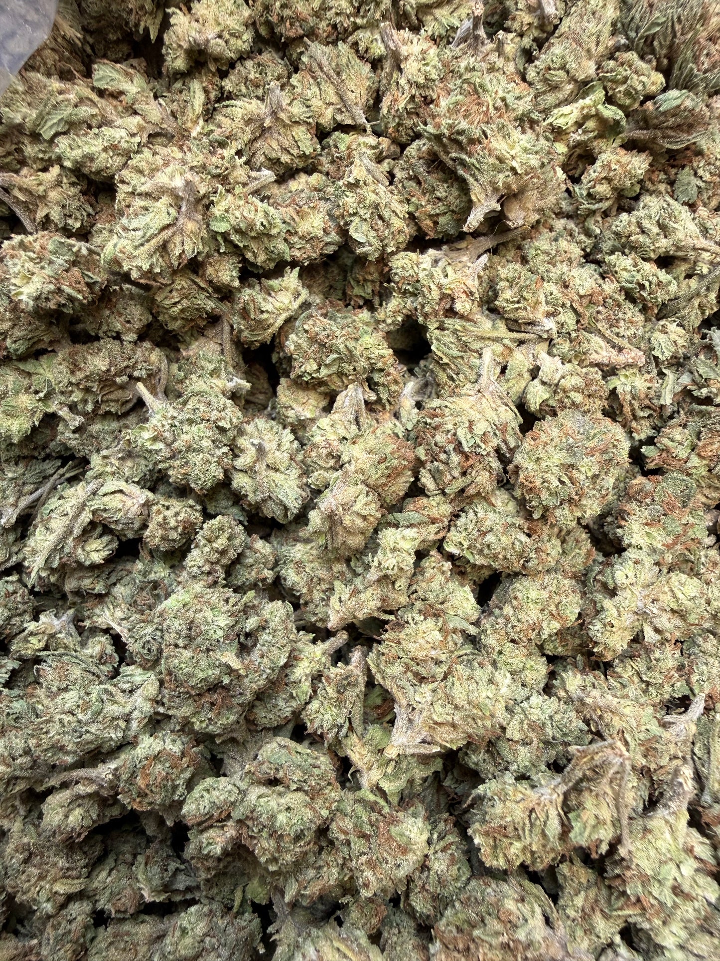 1 Pound - Han Solo THCA Flower (Smalls)