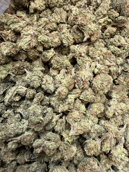 1 Pound - Han Solo THCA Flower (Smalls)