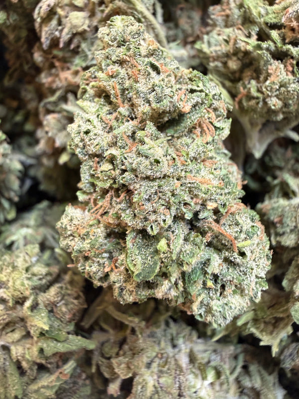 1 Pound - Sweet Baby Jesus THCA Flower