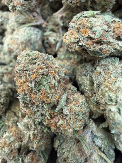 1 Pound - ILLEMONATI OG THCA Flower (BIG)