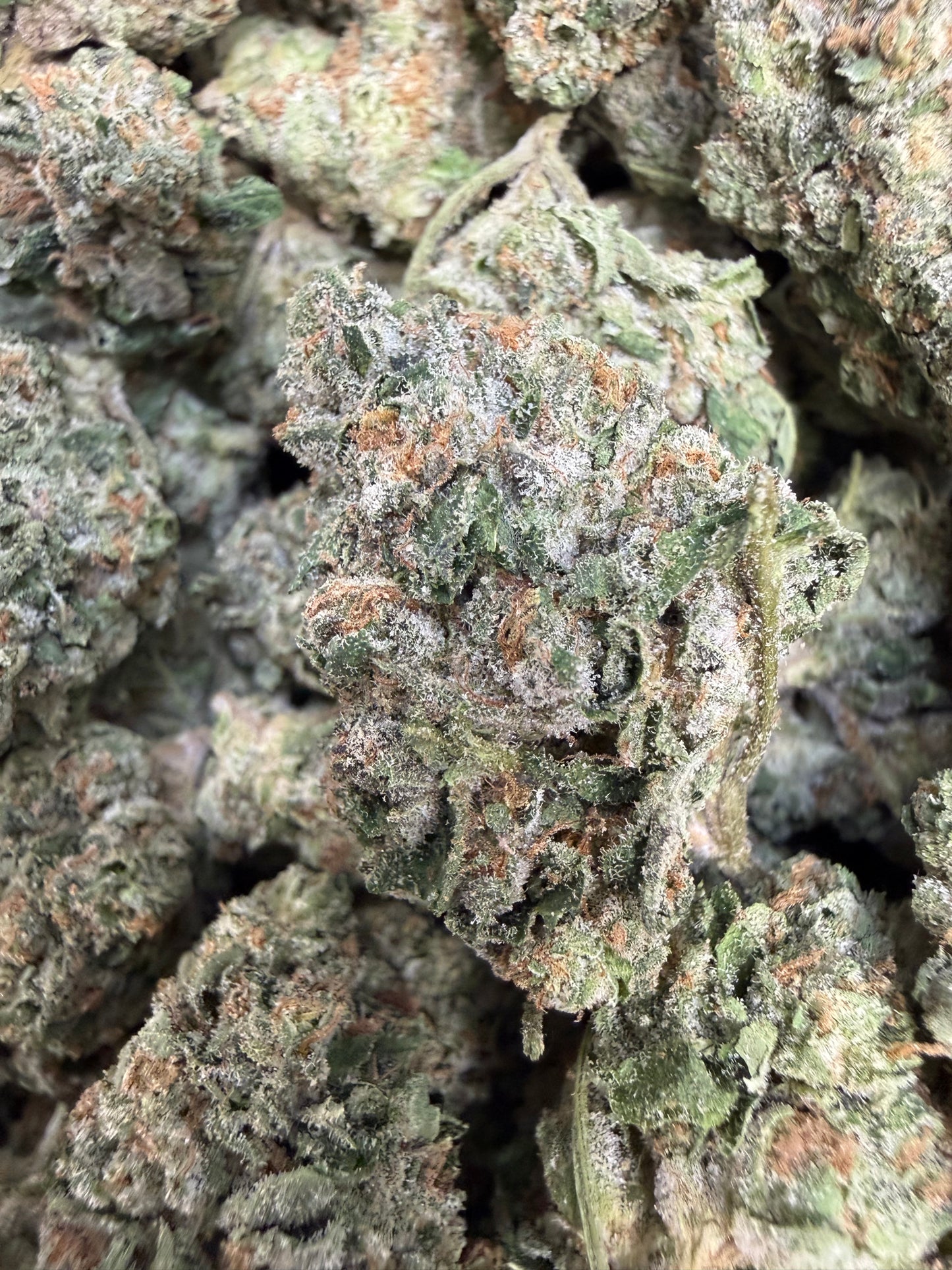 1 Pound - Face Off OG THCA Flower