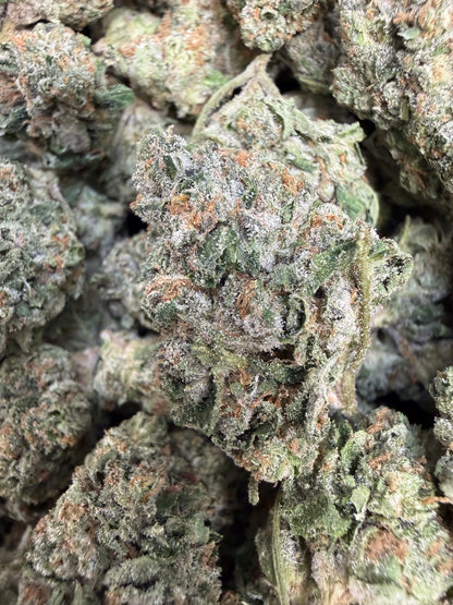 1 Pound - Face Off OG THCA Flower