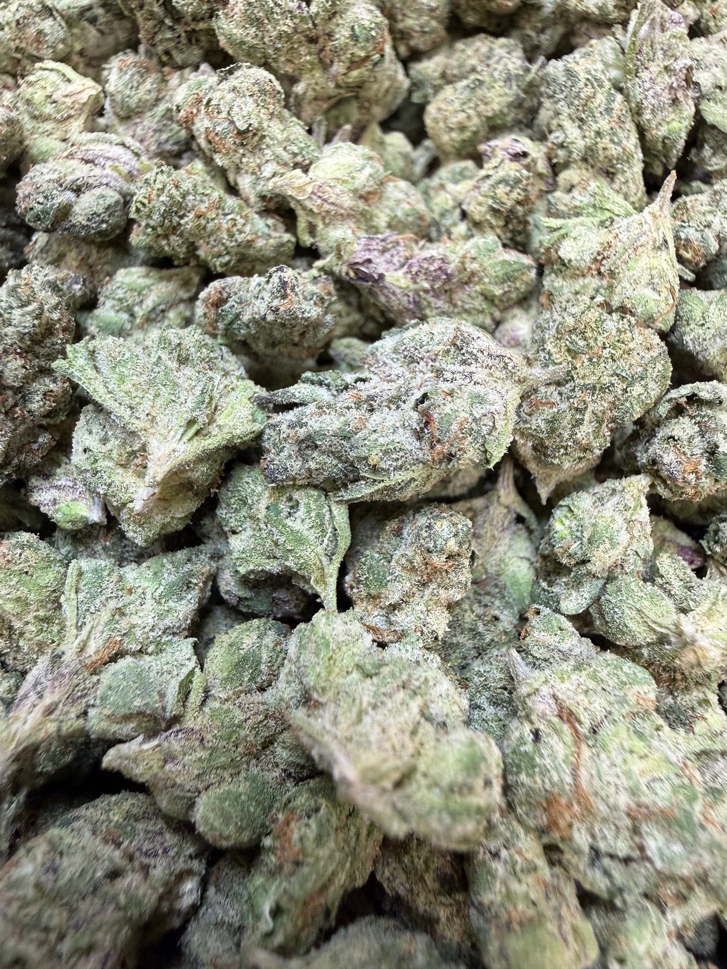 1 Pound - Gelato 33 S1 THCA Flower (Smalls)