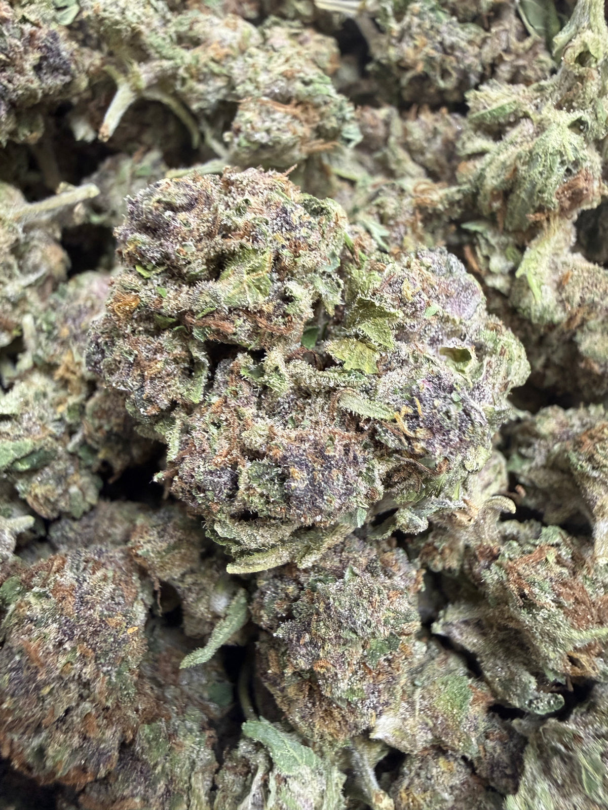 1 Pound - CANDY SHERB THCA Flower