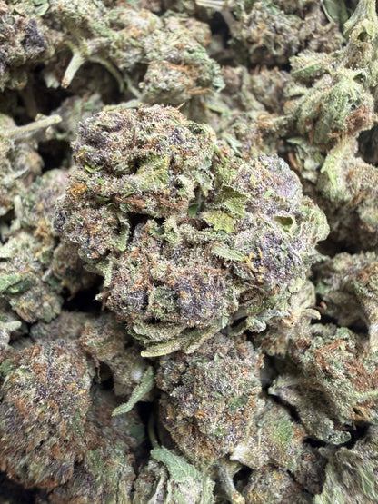 1 Pound - CANDY SHERB THCA Flower