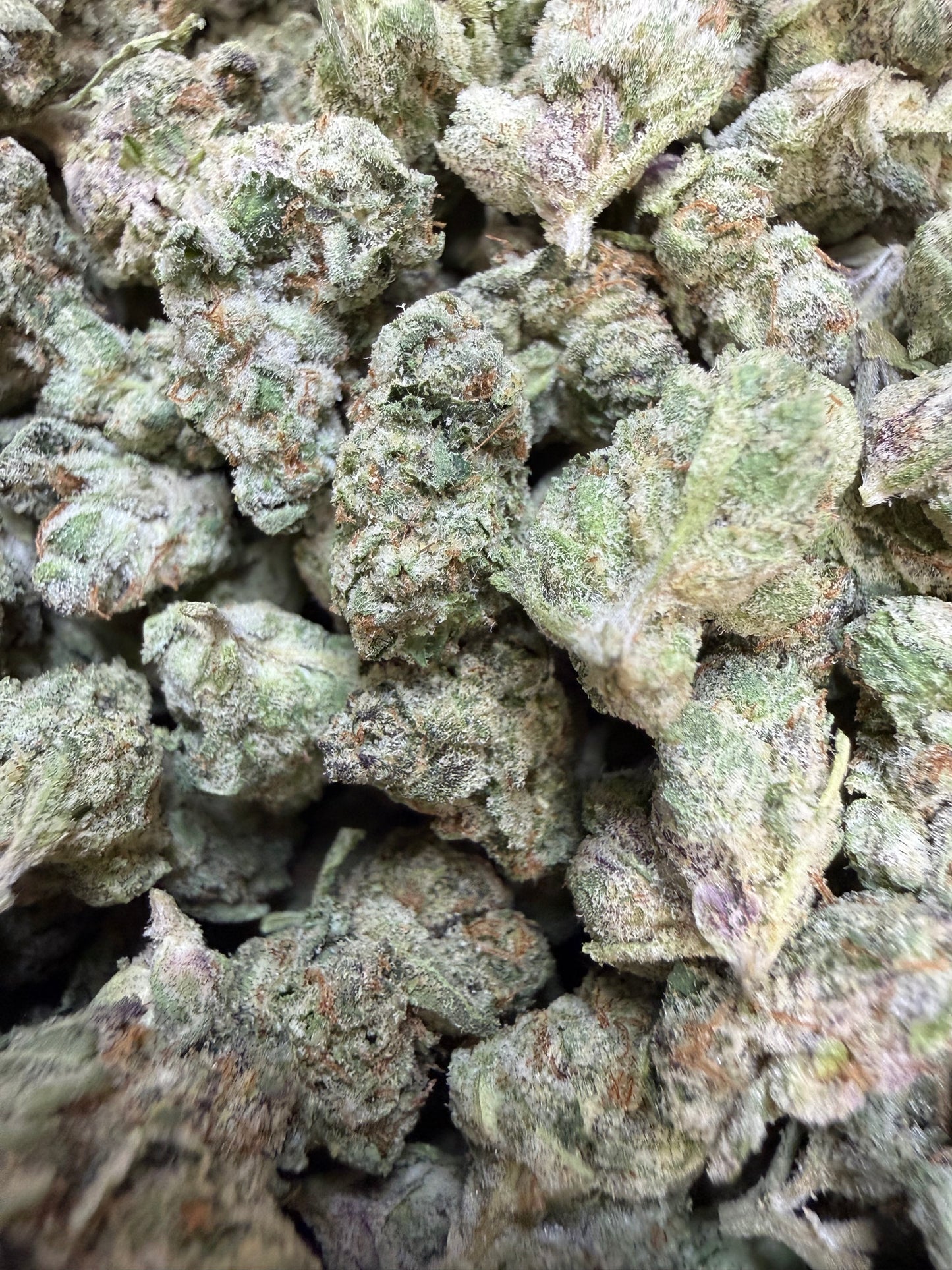 1 Pound - Gelato 33 S1 THCA Flower (Smalls)
