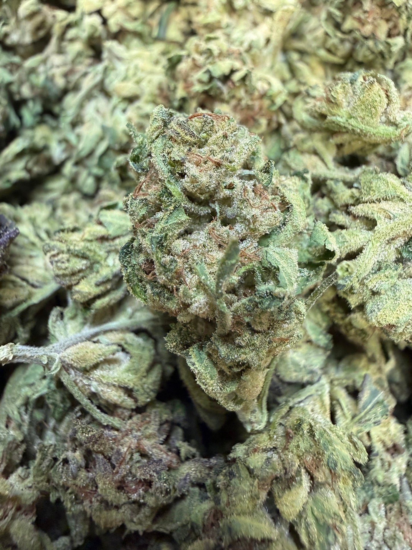 1 Pound - Sweet N' Sour OG THCA Flower