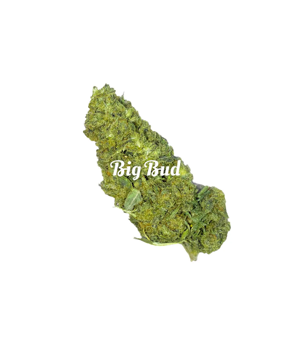 CBD Flower Big Bud