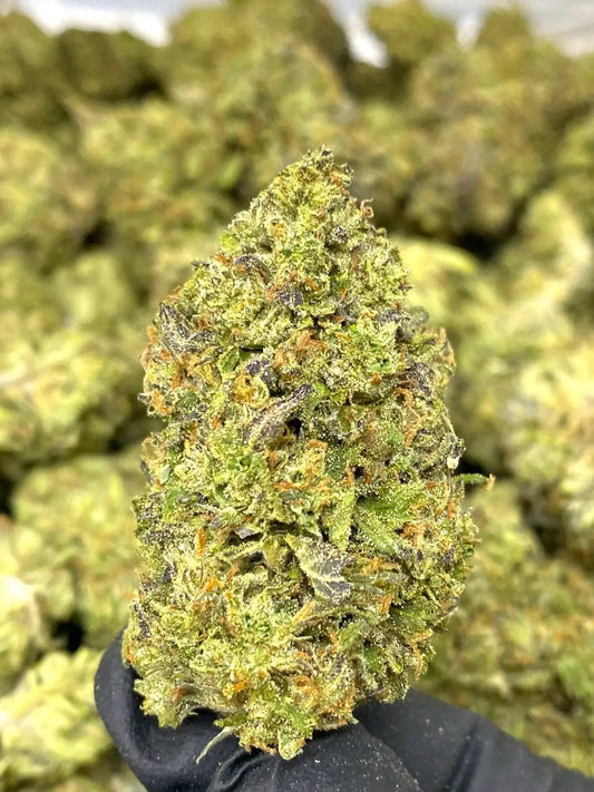 Cookie THCA - Frisco Labs