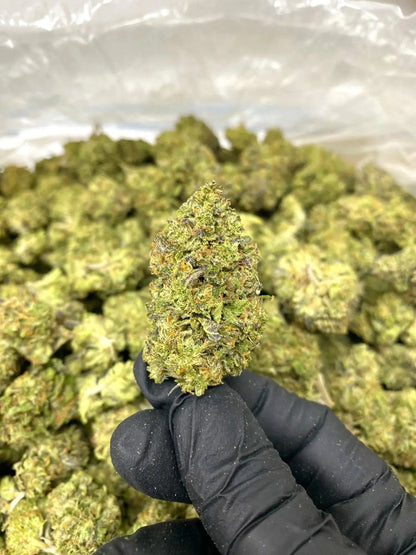 Cookie THCA - Frisco Labs