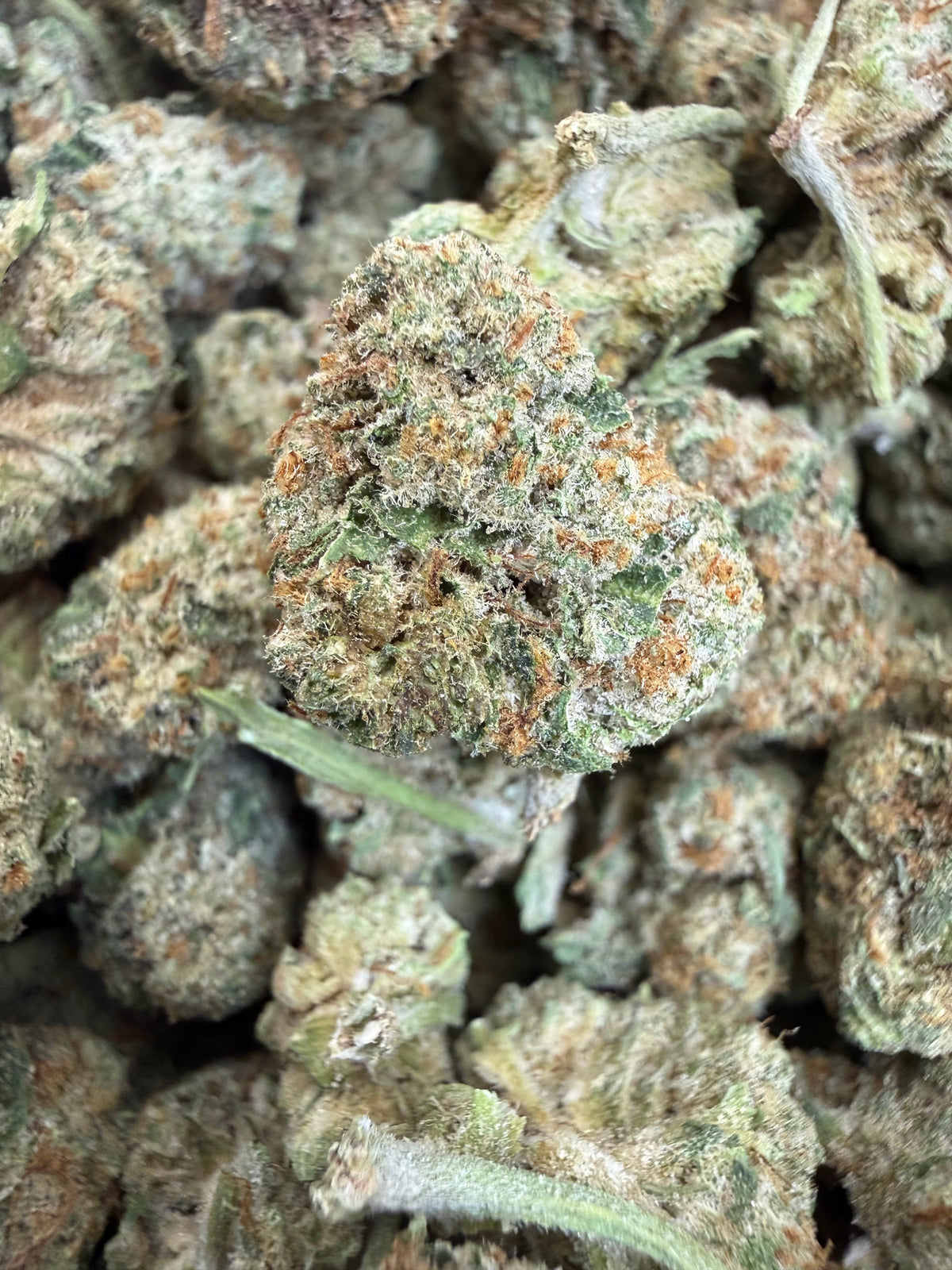 1 Pound - LEMON POPPERZ THCA Flower (SMALL)