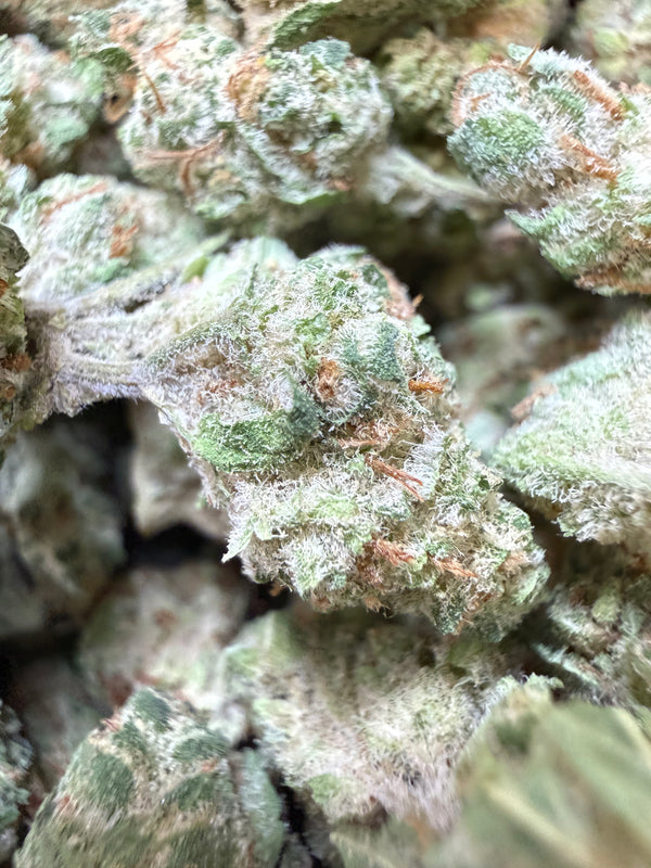 1 Pound - Limonade Punch THCA Flower (Smalls)