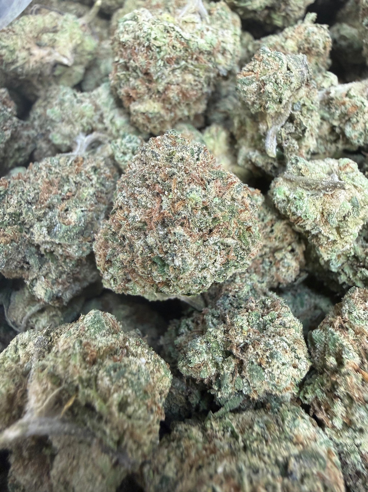 1 Pound - Sharkalato Runtz THCA Flower