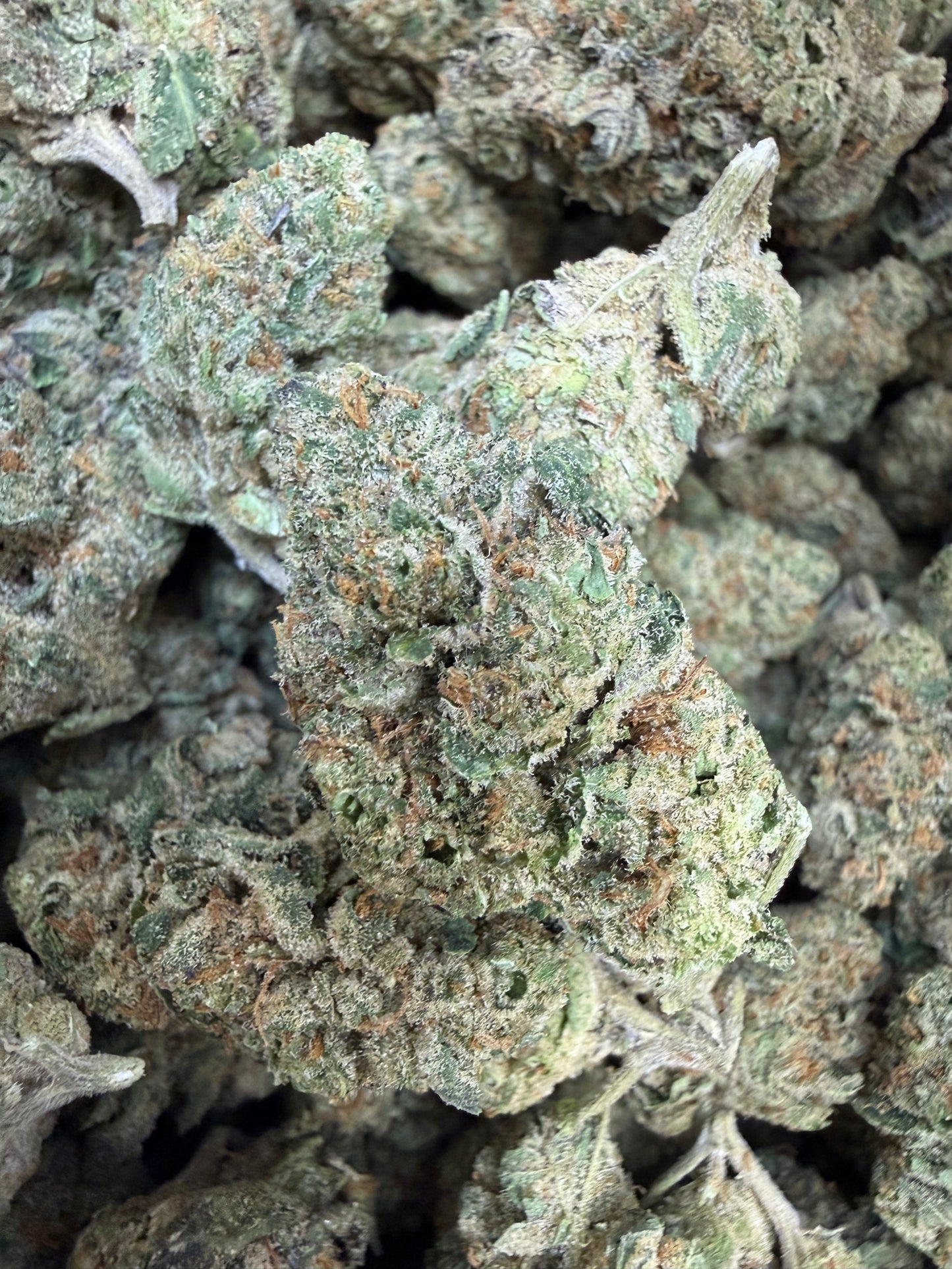 1 Pound - Freeze Popz THCA Flower