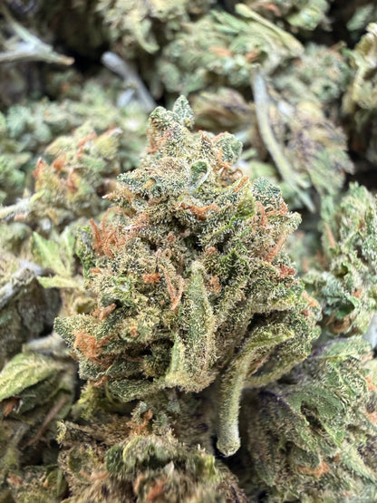 1 Pound - Zangria THCA Flower (Smalls)
