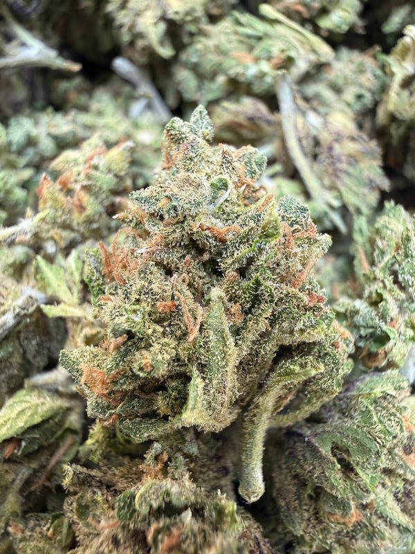 1 Pound - Zangria THCA Flower (Smalls)