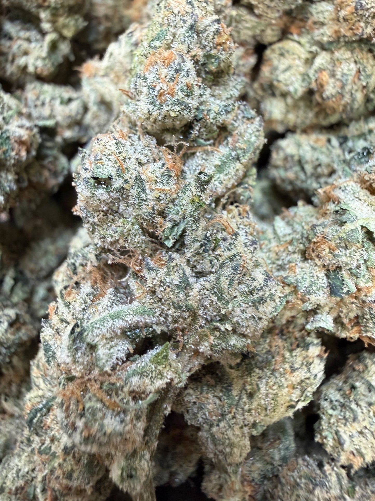 1 Pound - Cotton Candy Cookies THCA Flower