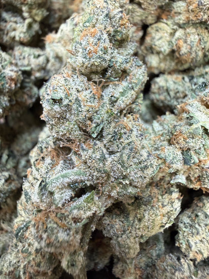 1 Pound - Cotton Candy Cookies THCA Flower