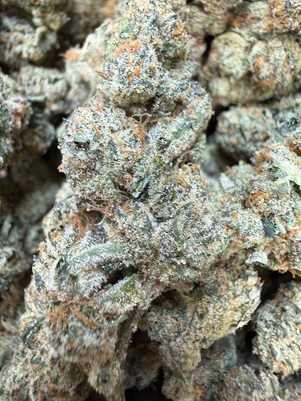 1 Pound - Cotton Candy Cookies THCA Flower