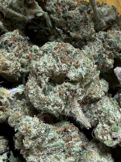 1 Pound -DUTCH TREAT THCA Flower (SMALL)