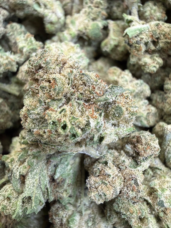 1 Pound - DOSI THCA Flower (SMALL)