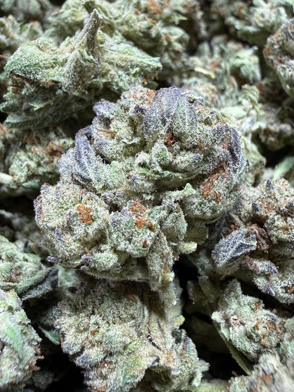 1 Pound - PLATINUM COOKIES AND CREAM THCA Flower (SMALL)