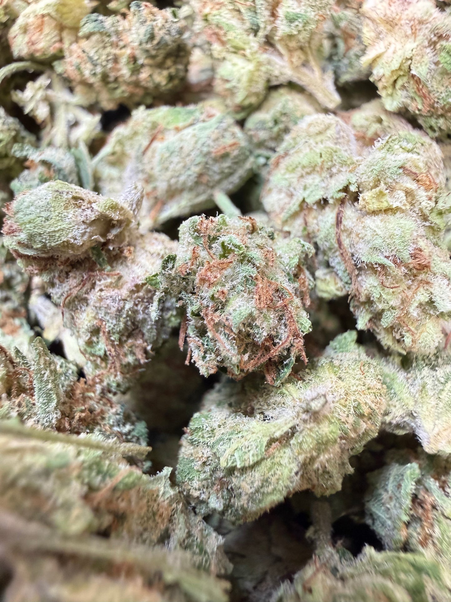 1 Pound - Barbie Runtz THCA Flower (Smalls)