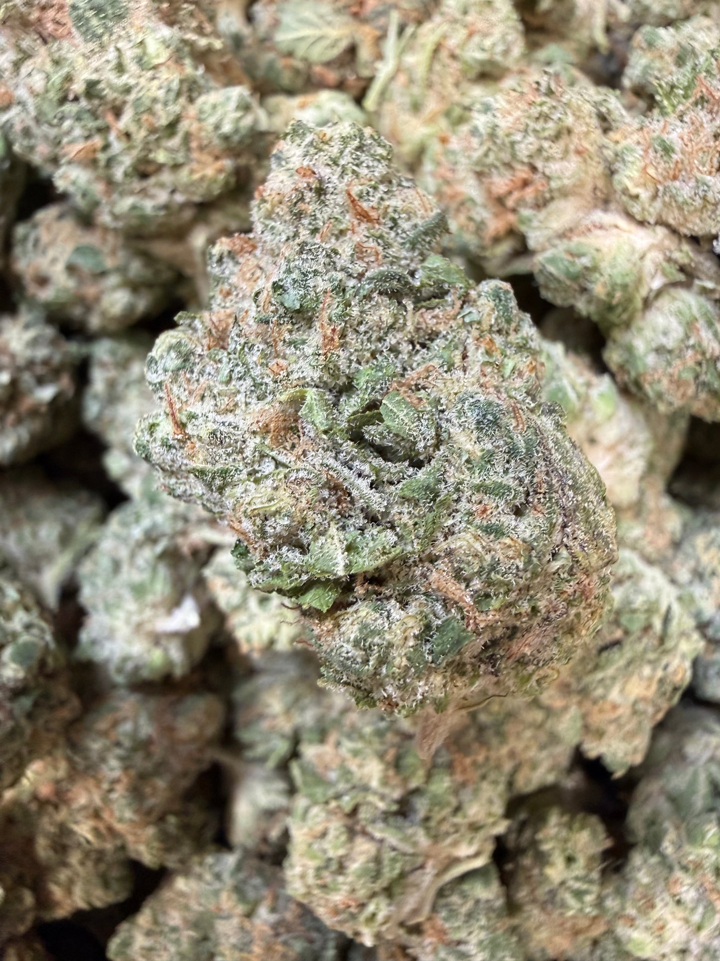 1 Pound - Peanut Butter Breath THCA Flower