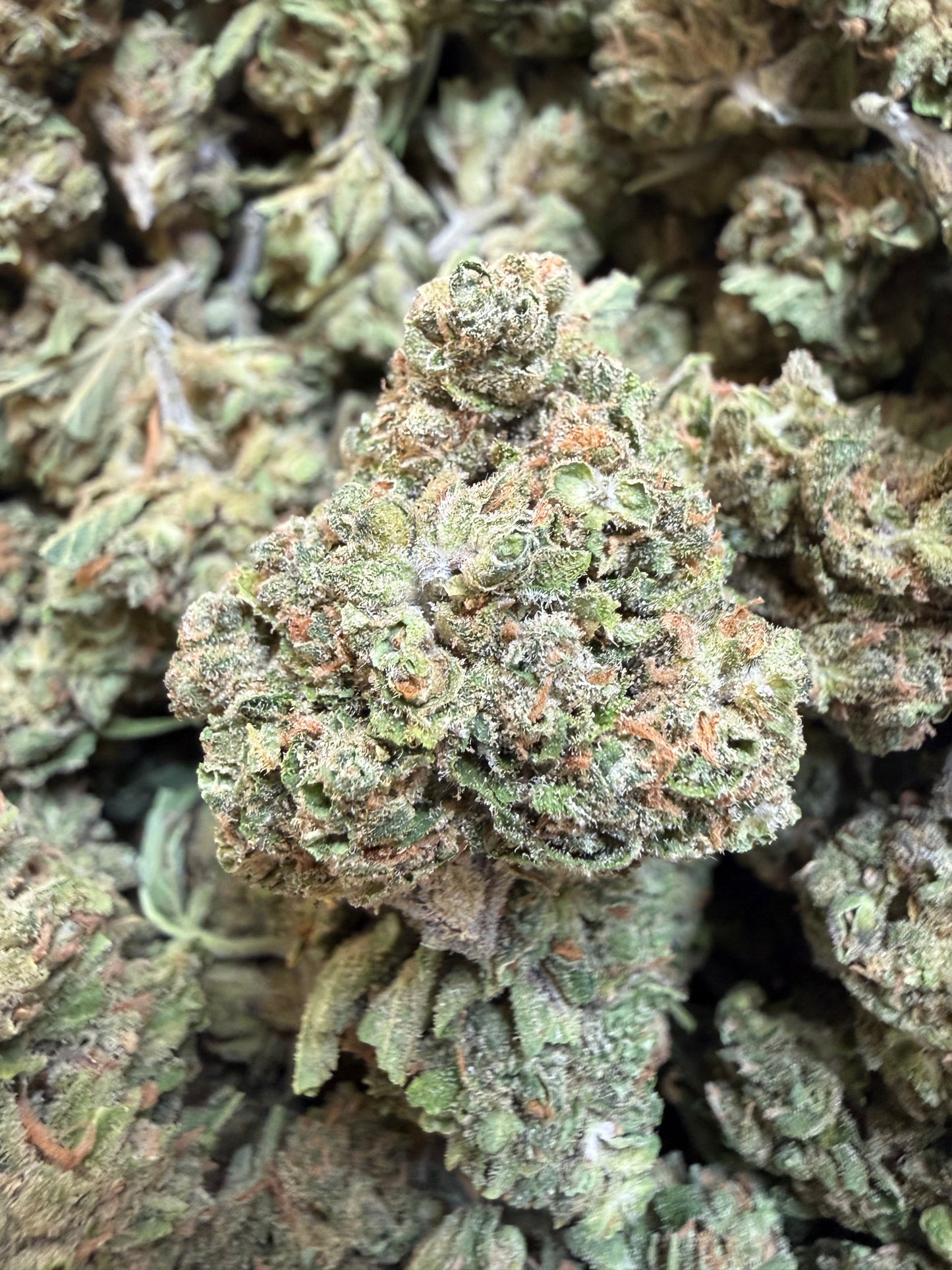 1 Pound - Phantom Gas THCA Flower