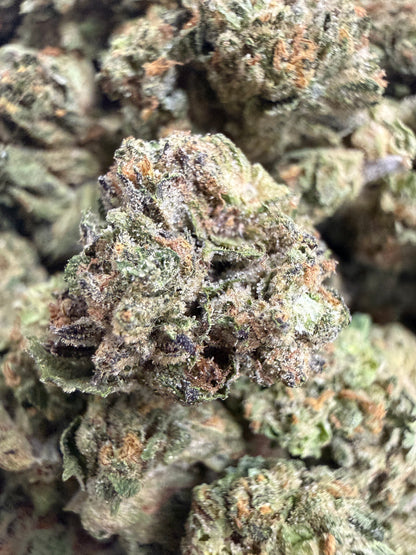 1 Pound - GELATO RUNTZ THCA Flower (SMALL)
