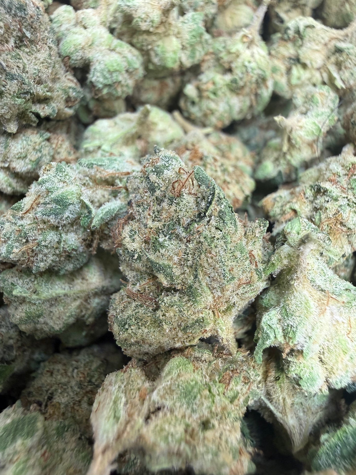 1 Pound - Crunch Berries Flower (Smalls)